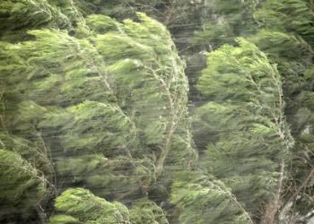 გაფრთხილება ამინდის შესახებ – მოსალოდნელია ქარბუქი, ძლიერი თოვა, წვიმა