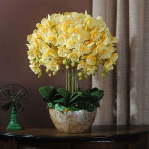 ნივთები, რომლებიც უიღბლობას იზიდავს - სასწრაფოდ მოიშორეთ სახლიდან