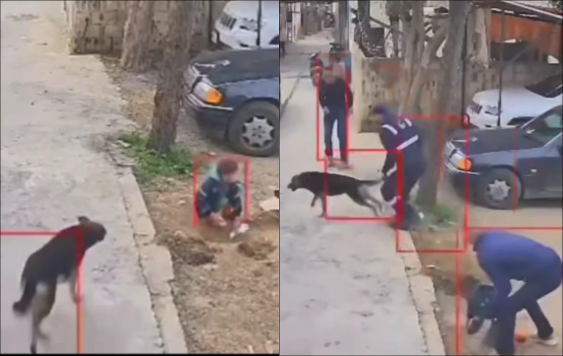 🎥 “ვაიმე დედა მიშველეთ… შვილი დამიგლიჯა” – ექსკლუზიური კადრები