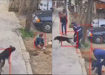 🎥 “ვაიმე დედა მიშველეთ… შვილი დამიგლიჯა” – ექსკლუზიური კადრები