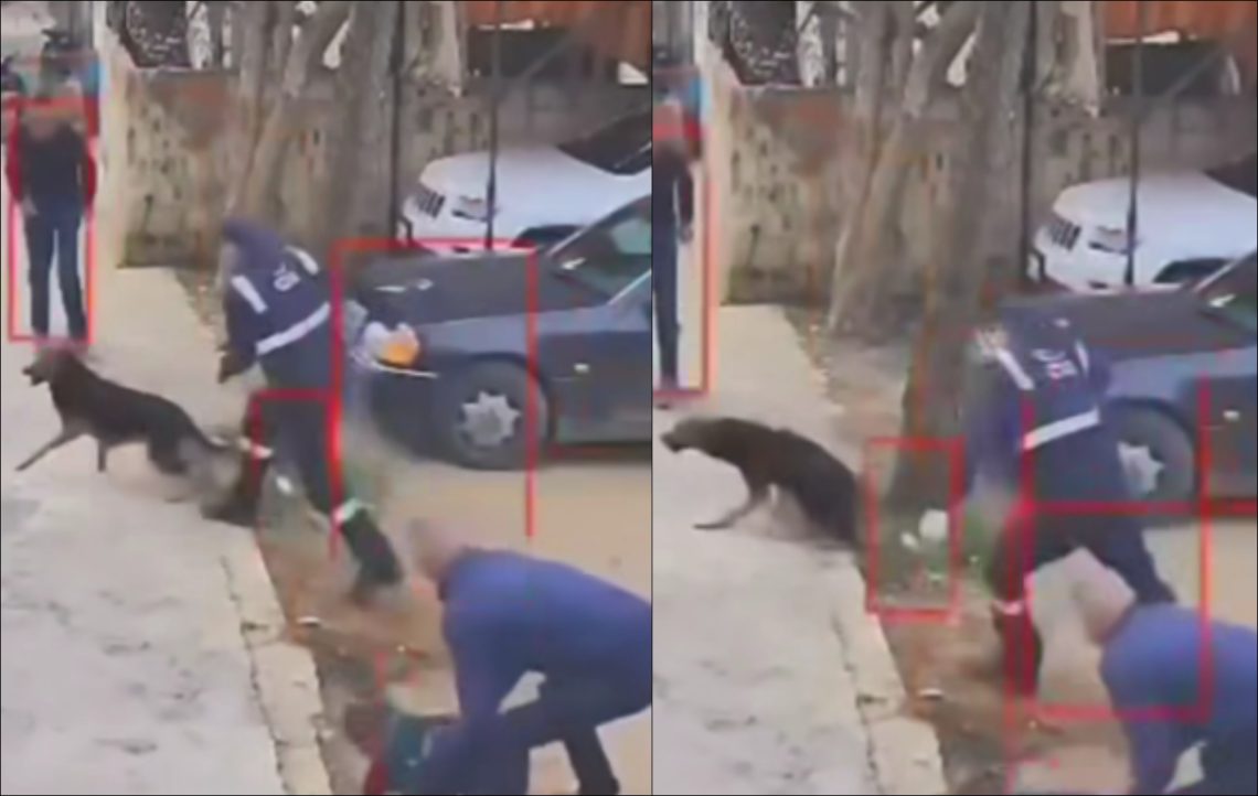 🎥 “თბილსერვისის თანამშრომელი, რომელმაც დაგლეჯილი ბავშვი გაცოფებულ ძაღლს გამოგლიჯა პირიდან” – საგმირო კადრებმა ინტერნეტი მოიცვა