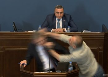 “ქათამი იყო მთელი თავისი ცხოვრება”- როგორ გამოეხმაურა მდინარაძე ელისაშვილის ქმედებას