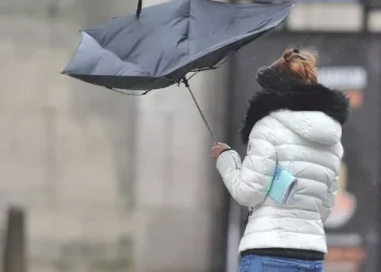 გაფრთხილება ამინდის შესახებ- მოსალოდნელია ძლიერი ქარი