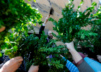 ეს უნდა იცოდეთ – ბზობის აღნიშვნის ტრადიციები საქართველოს სხვადასხვა კუთხეში