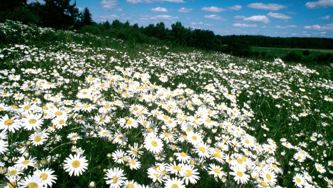 როგორ უნდა დავგეგმოთ 2024 წლის აპრილი ისე, რომ წარმატებას მივაღწიოთ