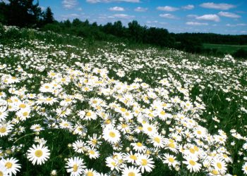 როგორ უნდა დავგეგმოთ 2024 წლის აპრილი ისე, რომ წარმატებას მივაღწიოთ