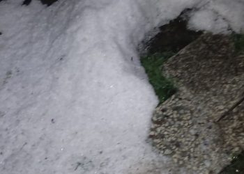 🎥„ძლერი სეტყვა კახეთში, ჩაილური და მანავი გაანადგურა“ – რა ვიდეო ვრცელდება სოციალურ ქსელში?