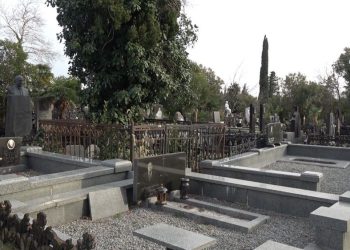 ქუთაისში სასაფლაოზე დამარხულ შამპანიურის ბოთლში ცოცხალი ადამიანების ფოტოები იპოვეს – ნახეთ ფოტოები