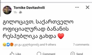 "გილოცავთ, საქართველო ოფიციალურად ბანანის რესპუბლიკა გახდა" - წერს კობა დავითაშვილის შვილი სოციალურ ქსელში