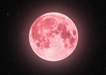 2024 წლის 24 აპრილს “ვარდისფერი სავსე მთვარეა” – რა უნდა გააკეთოთ ამ დღეს, რომ წარმატებას მიაღწიოთ და რასთან უნდა იყოთ ფრთხილად