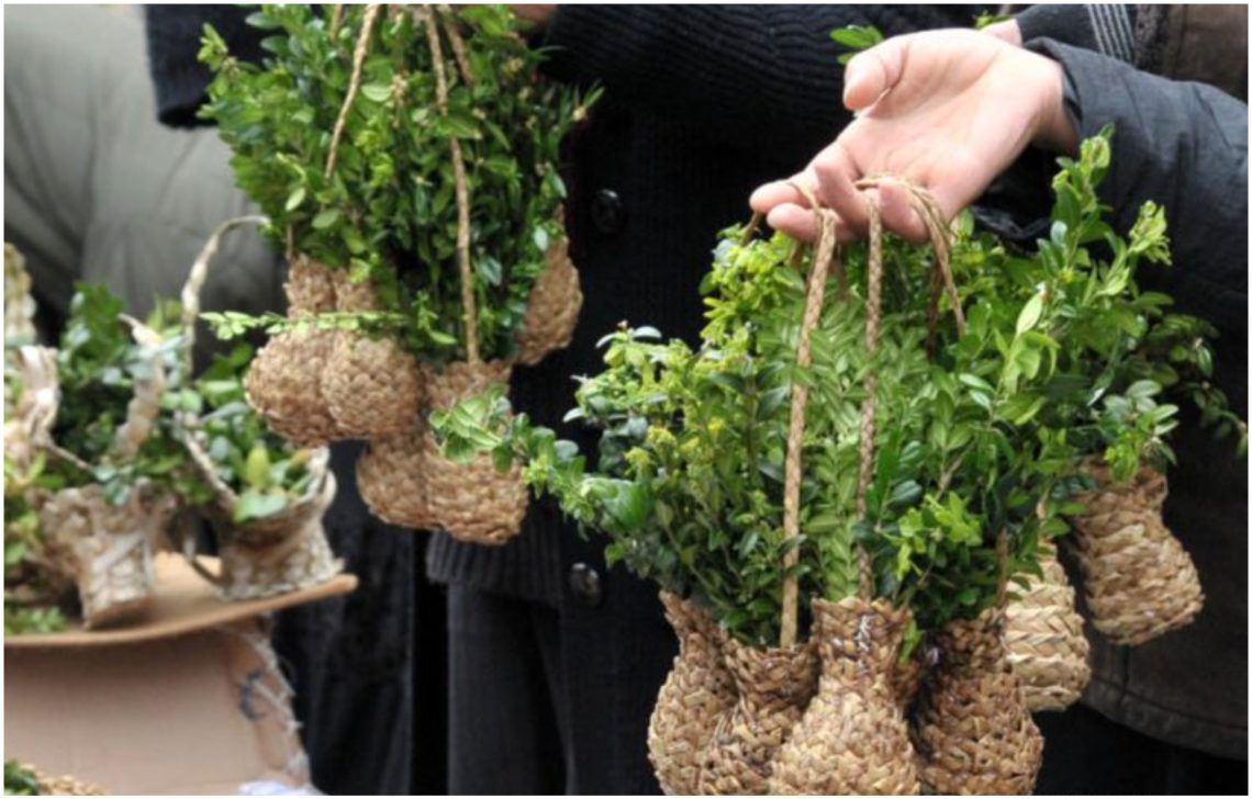 რომელ ოთახში უნდა მოვათავსოთ ბზის ტოტი მთელი წლის განმავლობაში?