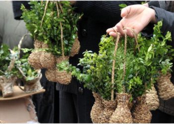 რომელ ოთახში უნდა მოვათავსოთ ბზის ტოტი მთელი წლის განმავლობაში?