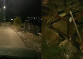 ๐ฅ”แแแแแฎแ แแแ แกแแคแแแแแแ” – แ แ แแแแ แแแ แแ แชแแแแแแ แแแ แแก แกแแกแแคแแแแแแแแแ?