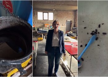 🎥 “სავირთხე, კანალიზაცია და ტარაკნები..სრული შოკი მაქვს”- მადონა კოიძე ამ წუთებში რესტორნიდან შოკისმომგვრელ ვიდეოს აქვყენებს