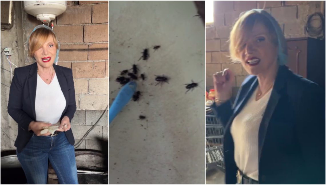 🎥 “ასეთი სიბინძურე ცხოვრებაში არ მინახავს… თან როგორ ცნობილ რესტორანში….” – მადონა კოიძე საგანგაშო კადრებს ავრცელებს