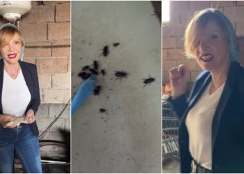 🎥 “ასეთი სიბინძურე ცხოვრებაში არ მინახავს… თან როგორ ცნობილ რესტორანში….” – მადონა კოიძე საგანგაშო კადრებს ავრცელებს