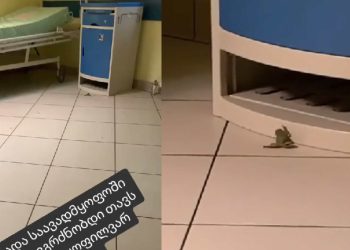 ๐ฅ แ แ แจแแแแกแแแแแแ แแแ แแแแ แแแ แแ แชแแแแแแ แแ แ-แแ แแ แกแแแแแแแงแแคแแแแ