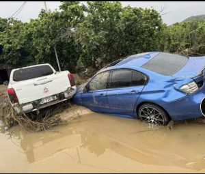 🎥 "ავტომობილები და სახლები ლაფშია ჩაფლული, საშინელება ხდება ბოლნისში" - კადრები ადგილიდან