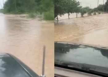 სტიქია თელავის მუნიციპალიტეტში – დაიტბორა რამდენიმე სახლი, ვენახები, სავარგულები