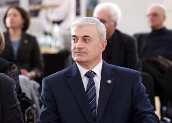 ეროვნული სამეცნიერო ფონდის დირექტორი CV–ში წერს, რომ ინტერნეტი ძალიან კარგად იცის