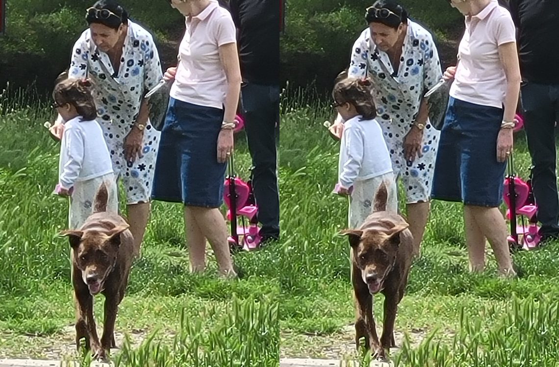 “დუბინკებით და ჯოხებით ჯგუფურად მოსიარულე ტიპებმა სალომე ზურაბიშვილს შეურაცხყოფა მიაყენეს”– რა მოხდა კუს ტბაზე?