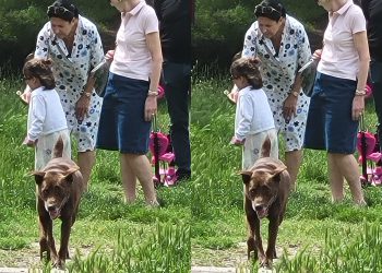 “დუბინკებით და ჯოხებით ჯგუფურად მოსიარულე ტიპებმა სალომე ზურაბიშვილს შეურაცხყოფა მიაყენეს”– რა მოხდა კუს ტბაზე?