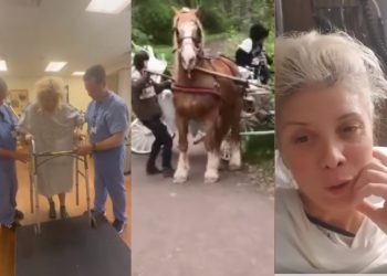 🎥 მერიკო კარტოზიამ ფეხი მოიტეხა – ნახეთ როგორ გადავარდა ფაეტონი ხრამში