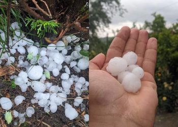 სეტყვა თერჯოლის სოფელ ზედა საზანოში – რა ფოტოები ვრცელდება სოცქსელში?