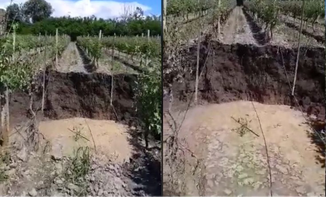 ๐ฅแงแแแ แแแจแ แแแฌแ แจแฃแแแ แแแแฎแกแแ แแ แขแแ แฌแแ แแแแฅแแแ – แกแแกแฌแแฃแแ แแแฎแแแแแแ