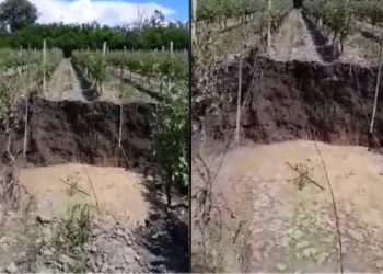 🎥კახეთში მეწყრულმა პროცესებმა მიწა გააპო და ტბა დღითი დღე ღრმავდება