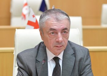,,მუშენ-თიშენის თეორია ,,ოცნების” დეპუტატ თენგიზ შარმანაშვილისგან