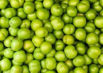 რა სასარგებლო თვისებები აქვს ალუჩას და როდის არის ის საზიანო ორგანიზმისთვის?