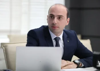 “საქართველოს მომავალი ევროპაშია” – ფინანსთა მინისტრის მოადგილე თანამდებობას ტოვებს