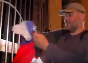 “რუსეთის დუმაა” – პარლამენტთან რუსეთის დროშა დახიეს