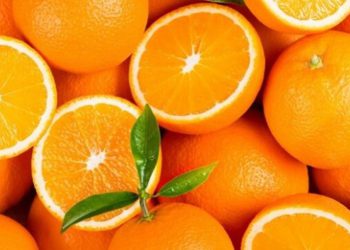 საქართველომ წელს $3.6 მლნ-ის ფორთოხალი იყიდა – სად ვყიდულობთ ხილს?