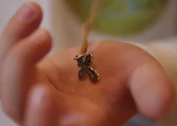 შეიძლება თუ არა ტრანსპორტში ლოცვა და პირჯვრის გამოსახვა? – დეკანოზის პასუხი