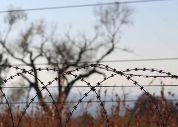 სოფელ ახალუბნის მიმდებარედ ოკუპანტებმა საქართველოს მოქალაქე  უკანონოდ დააკავეს