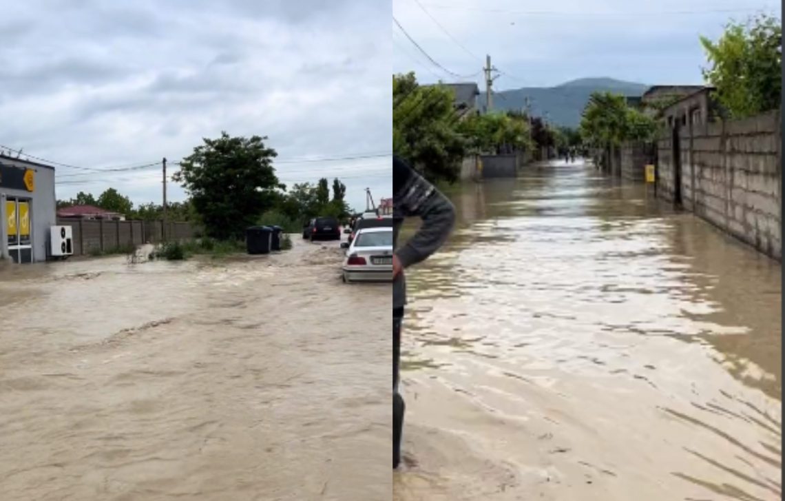 ๐ฅ “แฌแแ แแแแแจแ แแแแแซแแแ แแแแแชแแแจแ แแแแแฆแแแซแ”- แ แ แฎแแแแ แแแแแแแ?