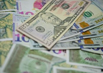რა ეღირება დოლარი და ევრო უქმეებზე? – ვალუტის განახლებული კურსი