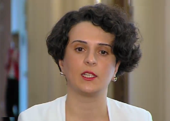 “სახეზეა აზრის გამოხატვის და პოლიტიკური საქმიანობის გამო დევნა… ყველა, ვის მიმართაც დანაშაულია ჩადენილი, რუსულ კანონს აპროტესტებდა”– მეზვრიშვილი