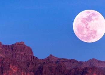 22 ივნისს “მარწყვის” სავსე მთვარეა – 5 რჩევა, რომლებიც გამოგადგებათ, რომ ამ დღეს წარმატებას მიაღწიოთ