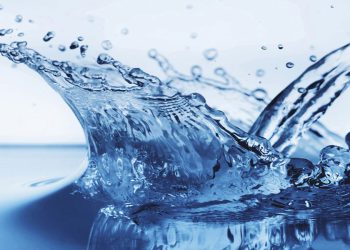 სასმელი წყლის ხარისხთან დაკავშირებით, GWP ინფორმაციას ავრცელებს