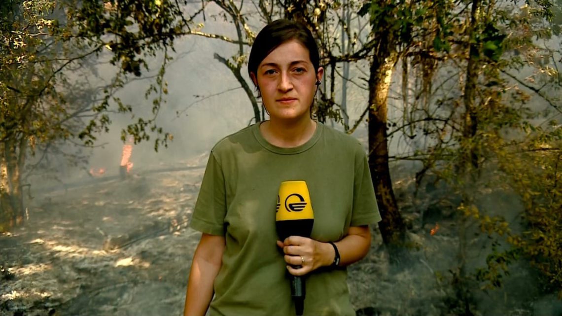 ტელეკომპანია იმედი ჟურნალისტმა თამარ შარიქაძემ დატოვა