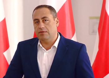 “სამწუხაროდ, ჩვევაში გვაქვს გამჯდარი ასეთი ტერმინების გამოყენება”– ვაშაძე მის მიერ გაკეთებული განცხადების გამო ბოდიშს იხდის