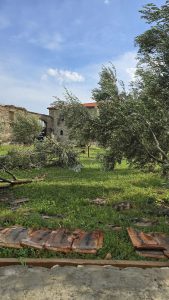 🎥ამოტრიალდა მანქანა, წაიქცა ხეივანი, დაზიანდა გუმბათი - პირდაპირი კადრები ალავერდიდან