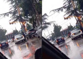 🎥”სამტრედიაში მეხი ჩამოვარდა, შუაზე გააპო ხე”- რა ხდება ადგილზე?