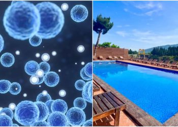 ბაქტერიები და ინფექციები, რომელიც შეიძლება საცურაო აუზიდან გადაგედოთ