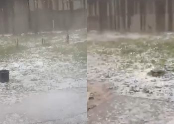 🎥 “მდინარე ადიდდა, სეტყვაა, მოსავალი განადგურდა” – რა კადრები ვრცელდება ბაღდათიდან?