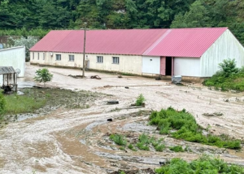 სტიქია ბაღდათში – 275 ოჯახი ელექტროენერგიის გარეშეა დარჩენილი