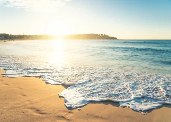 ყველასთვის სასარგებლო რჩევები ზაფხულის ცხელი დღეების გადასაგორებლად